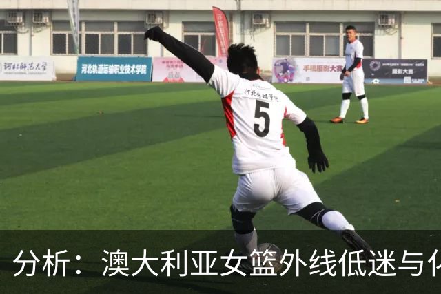 分析：澳大利亚女篮外线低迷与化学反应欠佳 我们的机会来临