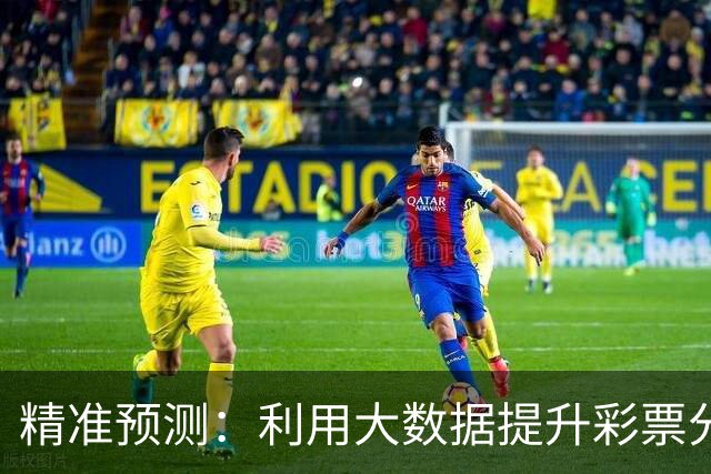 精准预测：利用大数据提升彩票分析能力