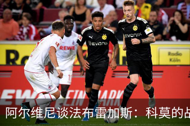 阿尔维尼谈法布雷加斯：科莫的战术理念独树一帜
